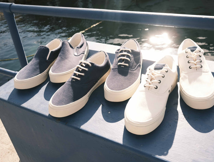 <h1>Sebago Sneakers</h1>